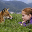 le-renard-et-l-enfant-le-renard-et-l-enfant-the-fox.jpg