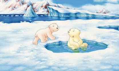 Egomania Geboorteplaats Omgeving The little polar bear | TrosKompas